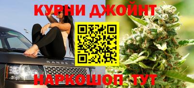 крисы Сланцы